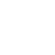 elecmetal